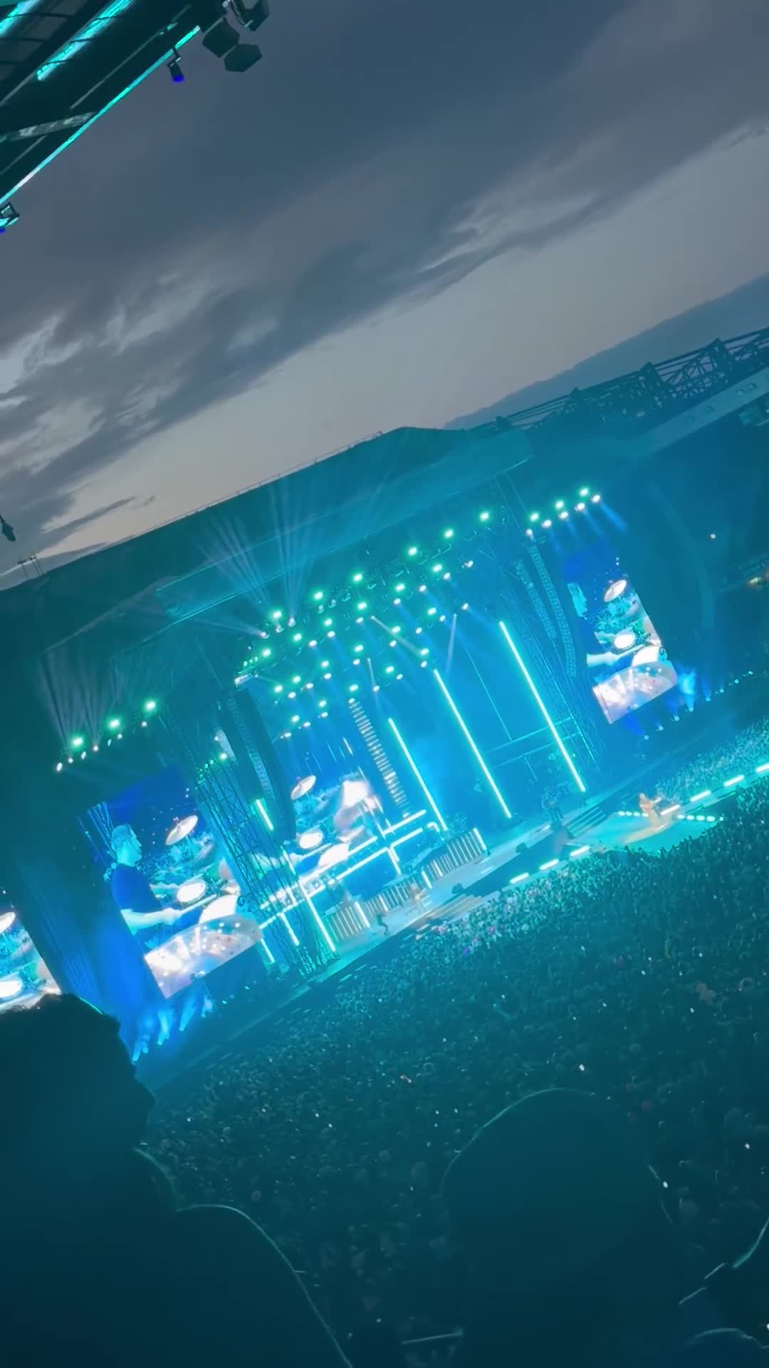 Mixed Breed dogs for sale: Labs and rottie pups  in Dumfries - Video 1
