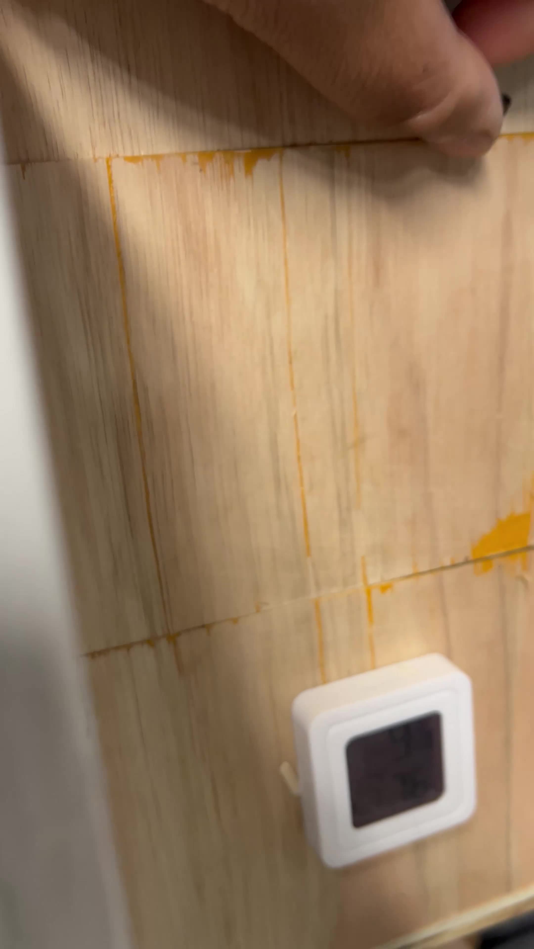 Lovebirds birds for sale: Breeding pair of lovebirds  - Video 4