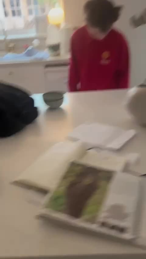 Mixed Breed dogs for adoption: Charming Charley looking for love - Video 2