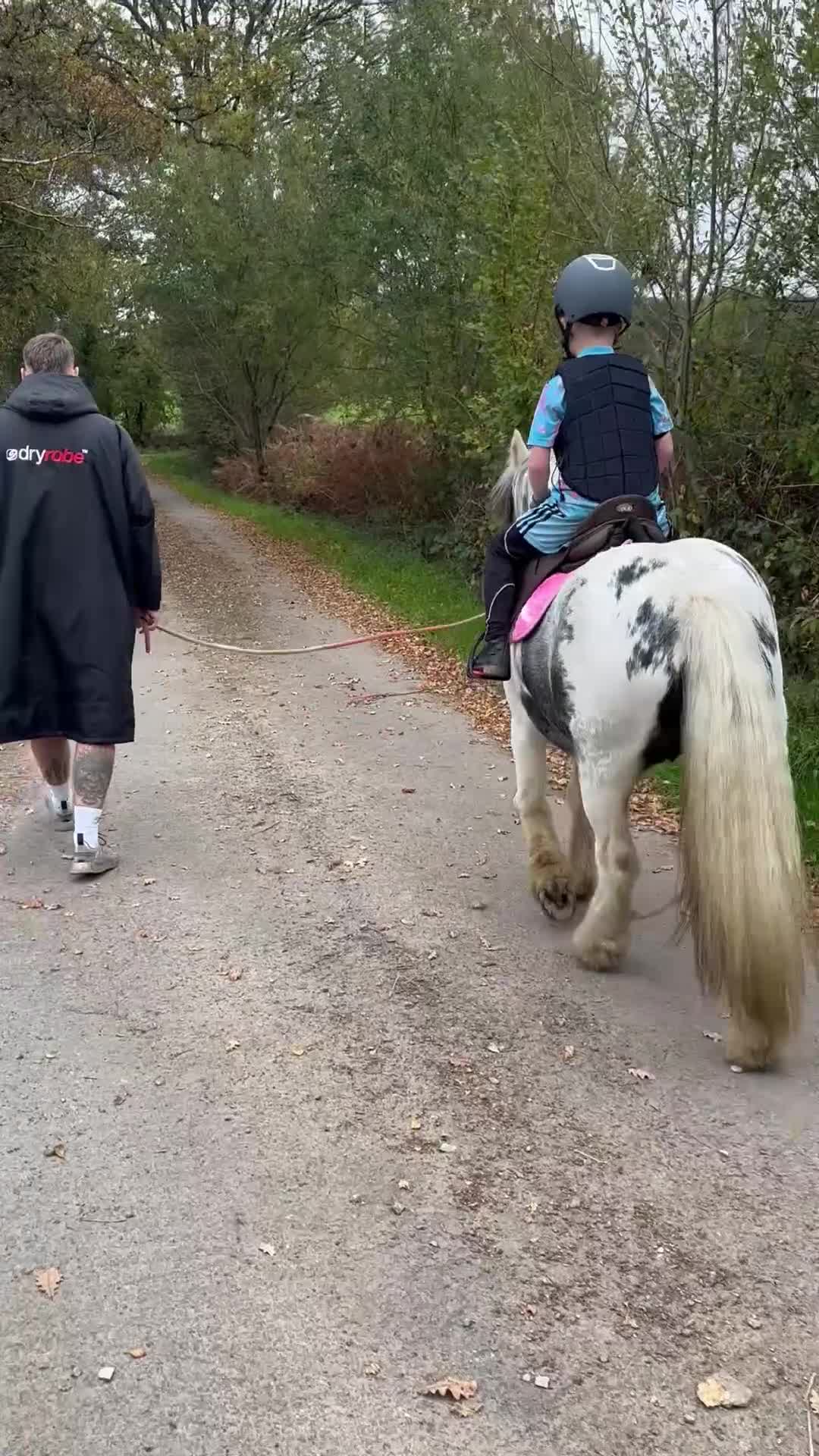 Miniature horses for sale: Children’s Lead Rein Pony - Video 5