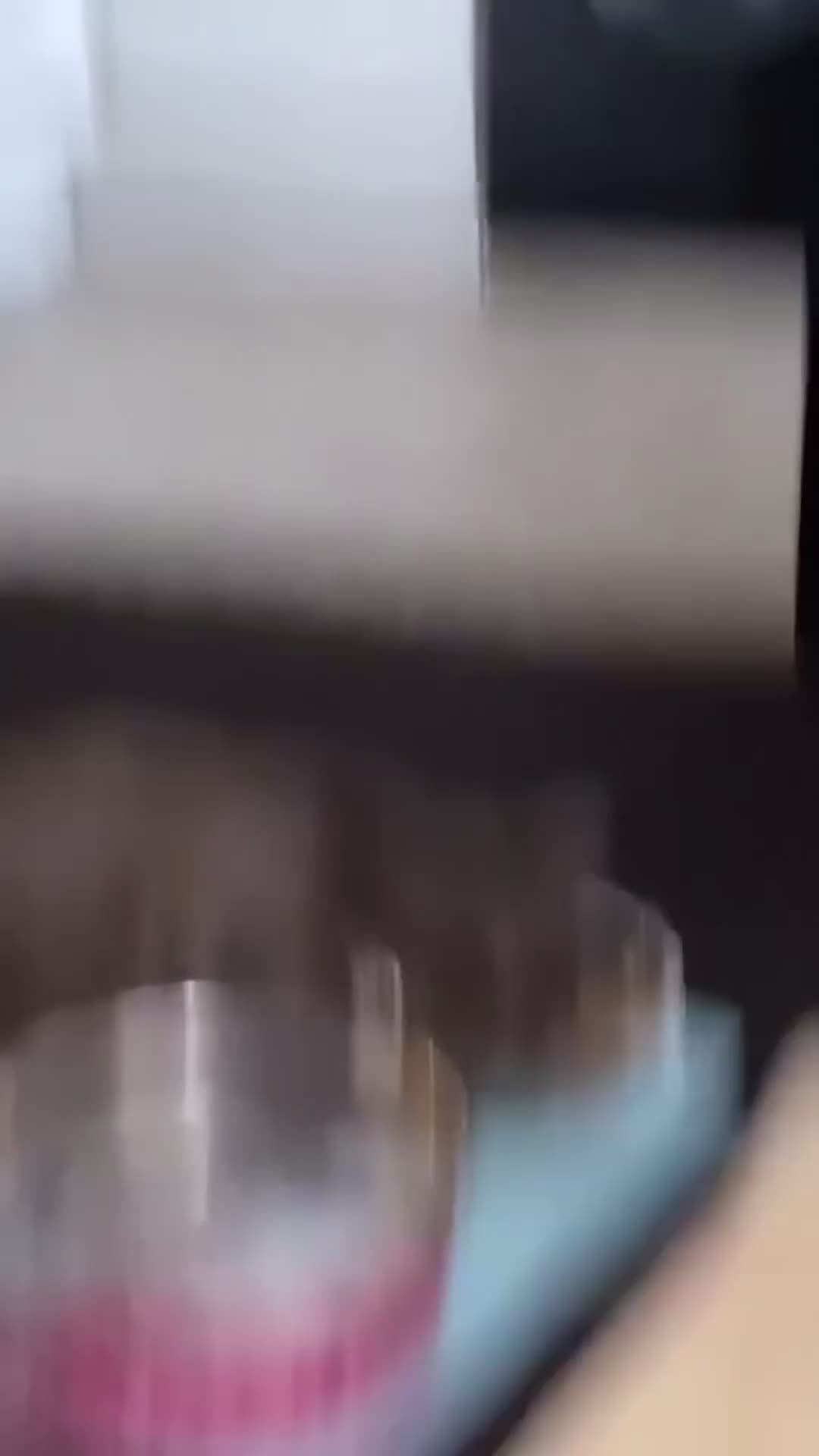 Maine Coon cats for sale: 🥇VERY. Rare pretty kitten for sale🎀. - Video 2