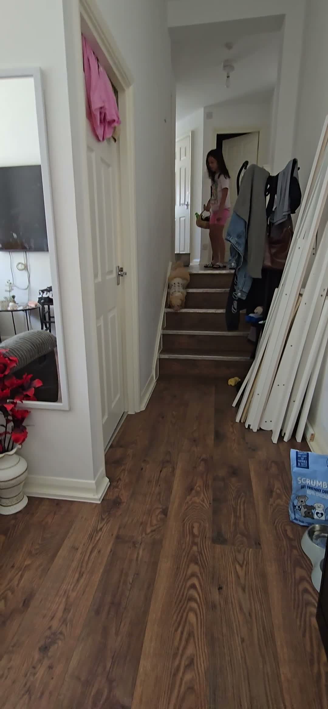 Cockapoo dogs for sale: 🐾 Gorgeous 4-Month-Old Cockapoo Puppy  - Video 2