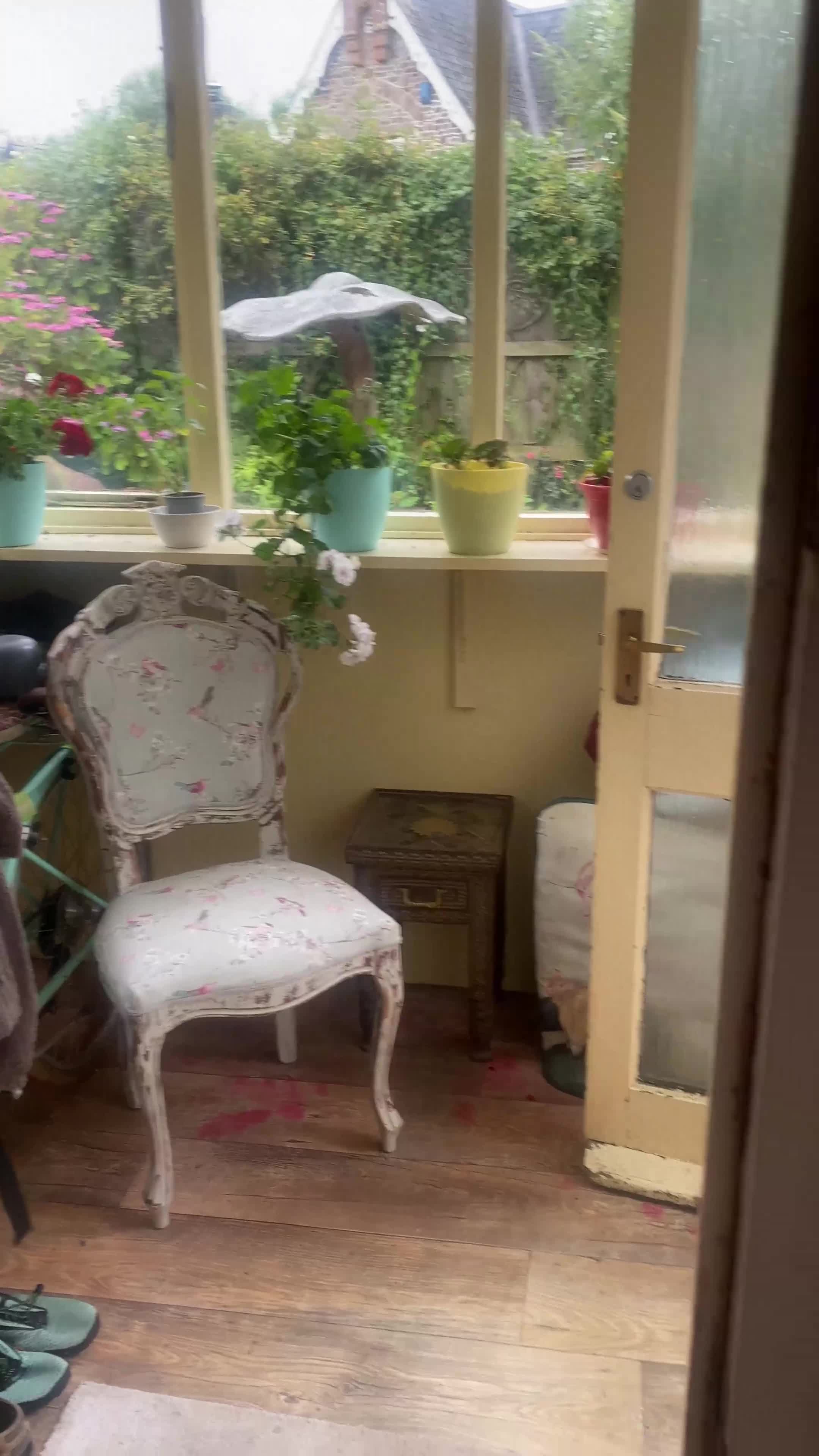 Mixed Breed dogs for sale:  Cavapoo x Cockapoo Ready 9th August - Video 2