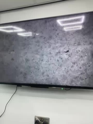 French Bulldog dogs for stud: 💎Blue & Tan 🤎 Merle French bulldog stud 🧬🔥 in Manchester - Video 3