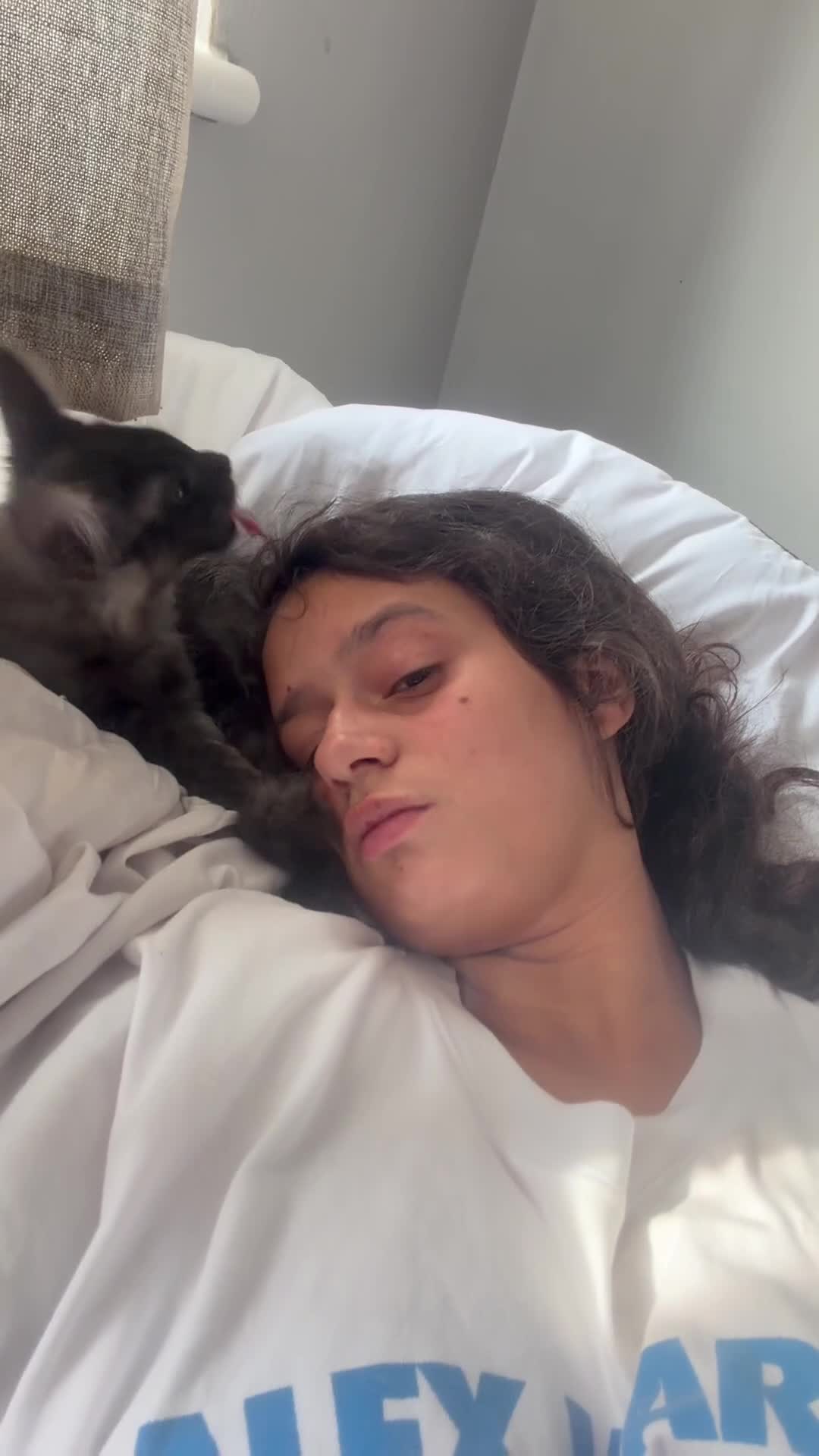 Maine Coon cats for sale: 🚨 URGENT: Beautiful Maine Coons for Rehoming Tica - Video 4