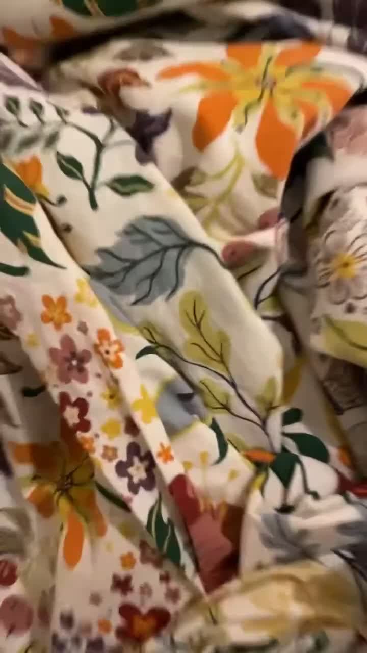 Ferret rodents for sale: Friendly cute ferret looking for a good home  - Video 1