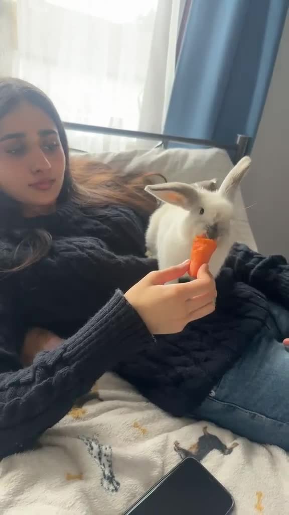 Alaska rabbits for sale: Bunny in Rainham - Video 1