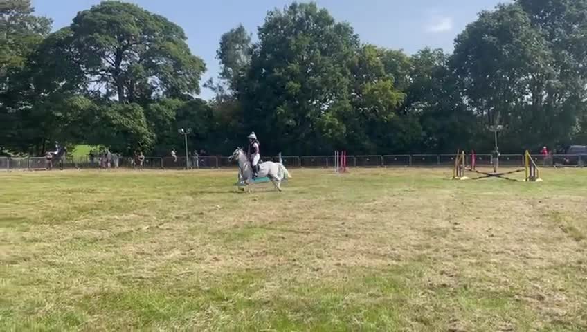 Welsh Section A horses for sale: Welsh Mountain pony x Arab - Video 2