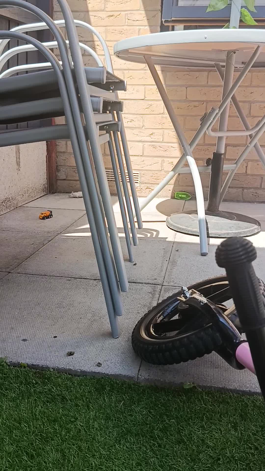 Mouse rodents for sale: Friendly male mouse with cage seeking new home  - Video 1