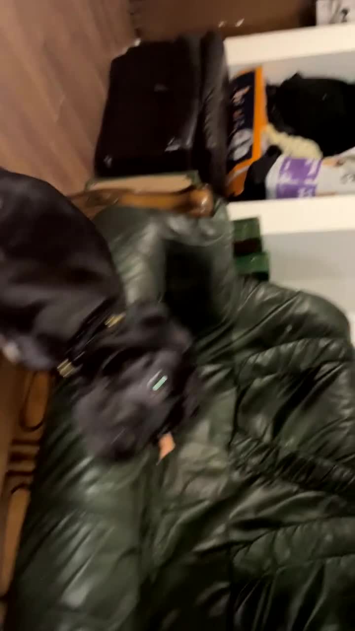 Cane Corso dogs for sale: 4 month old Cane Corso - Video 2