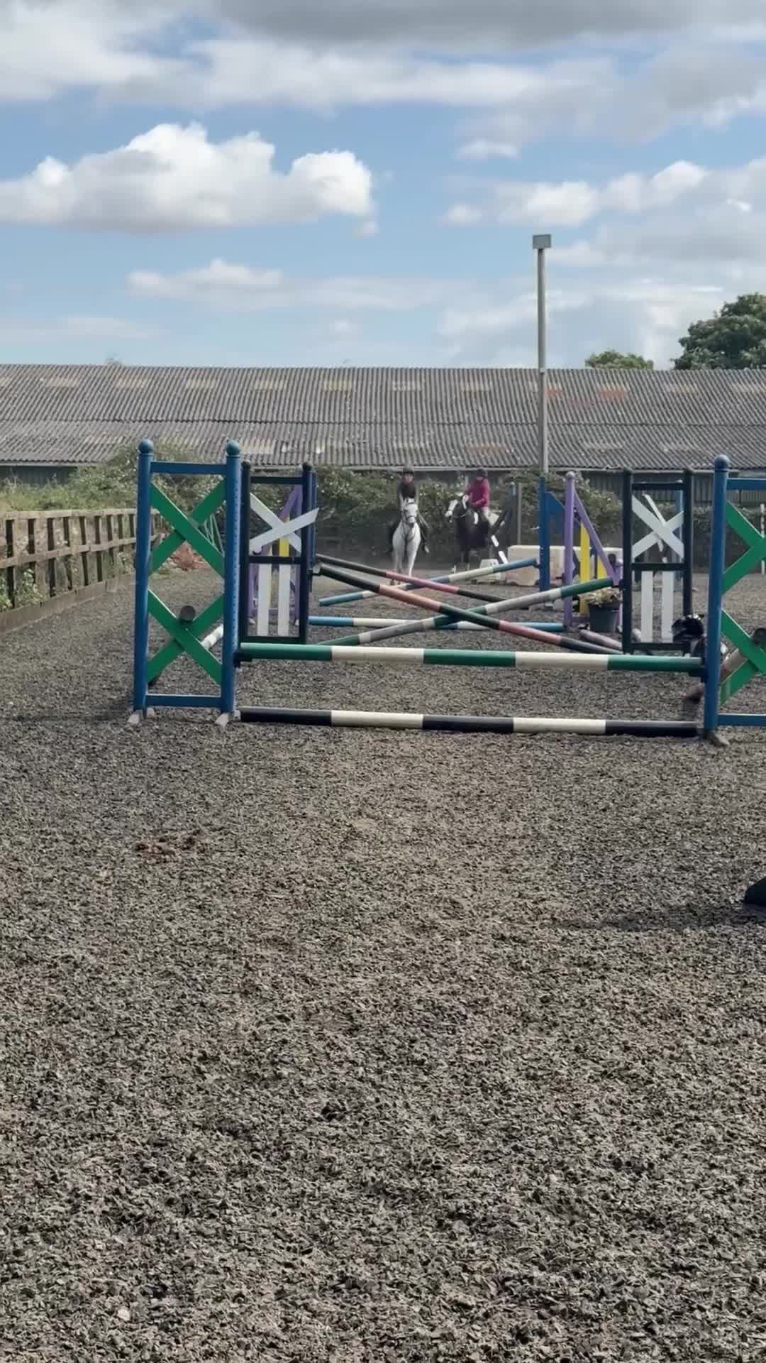Irish Sports horses for sale: 13.1 Welsh x Irish sports pony  - Video 3