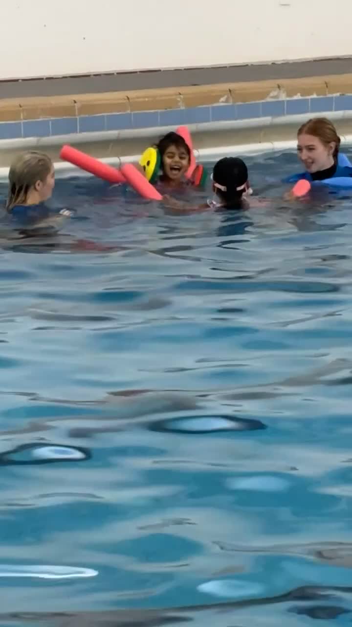 Scottish Fold cats for sale: British shorthair x Scottish fold kittens - Video 3