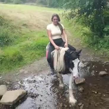 Irish Cob horses for sale: 13.2hh cob mare 4 years old.  - Video 4