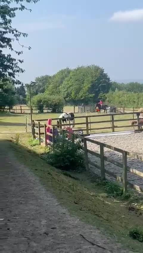 Irish Thoroughbred horses for sale: Ridding club hack, allrounder in Gillingham - Video 2
