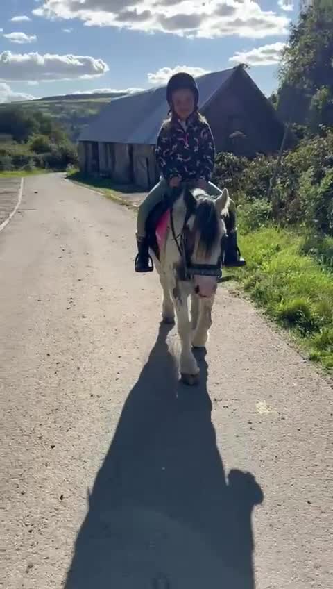 Miniature horses for sale: Children’s Lead Rein Pony - Video 3