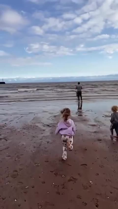 Mixed Breed dogs for adoption: Urgent Foster Needed  - Video 3