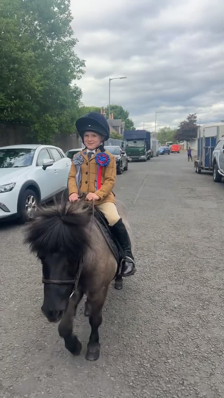 Shetland pony horses for sale: Perfect first pony: a mothers dream - Video 1