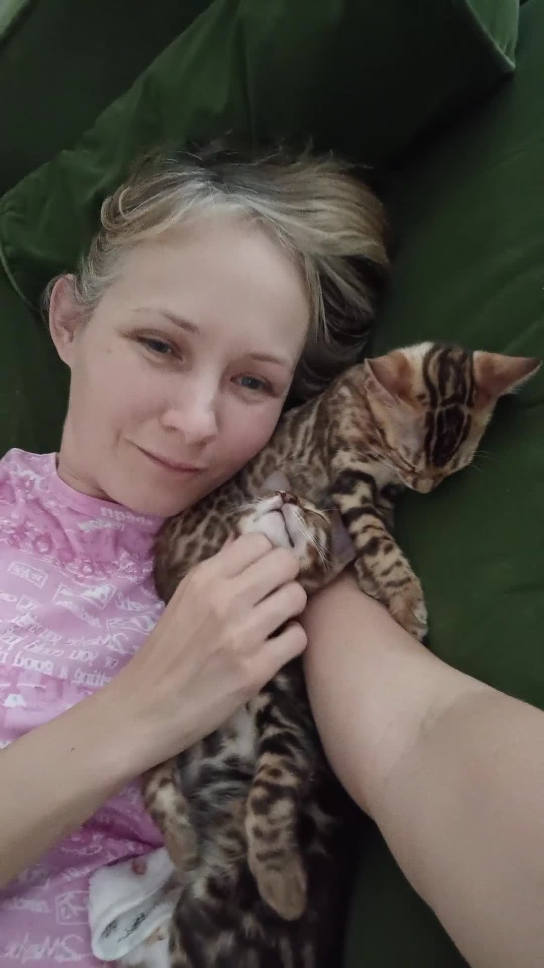 Bengal cats for sale: Cuddly and beautiful pedigree bengal kittens - Video 3