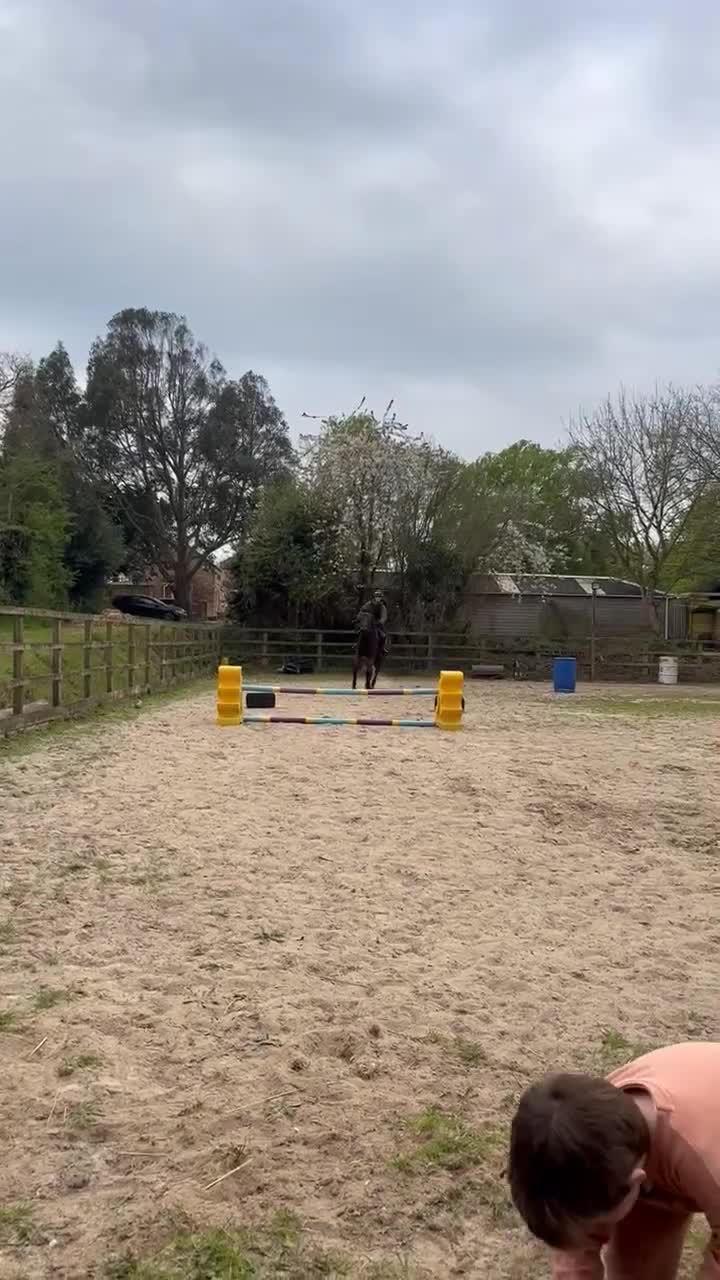 English Thoroughbred horses for sale: ROR eligible hunt/ event/ all rounder prospect - Video 2