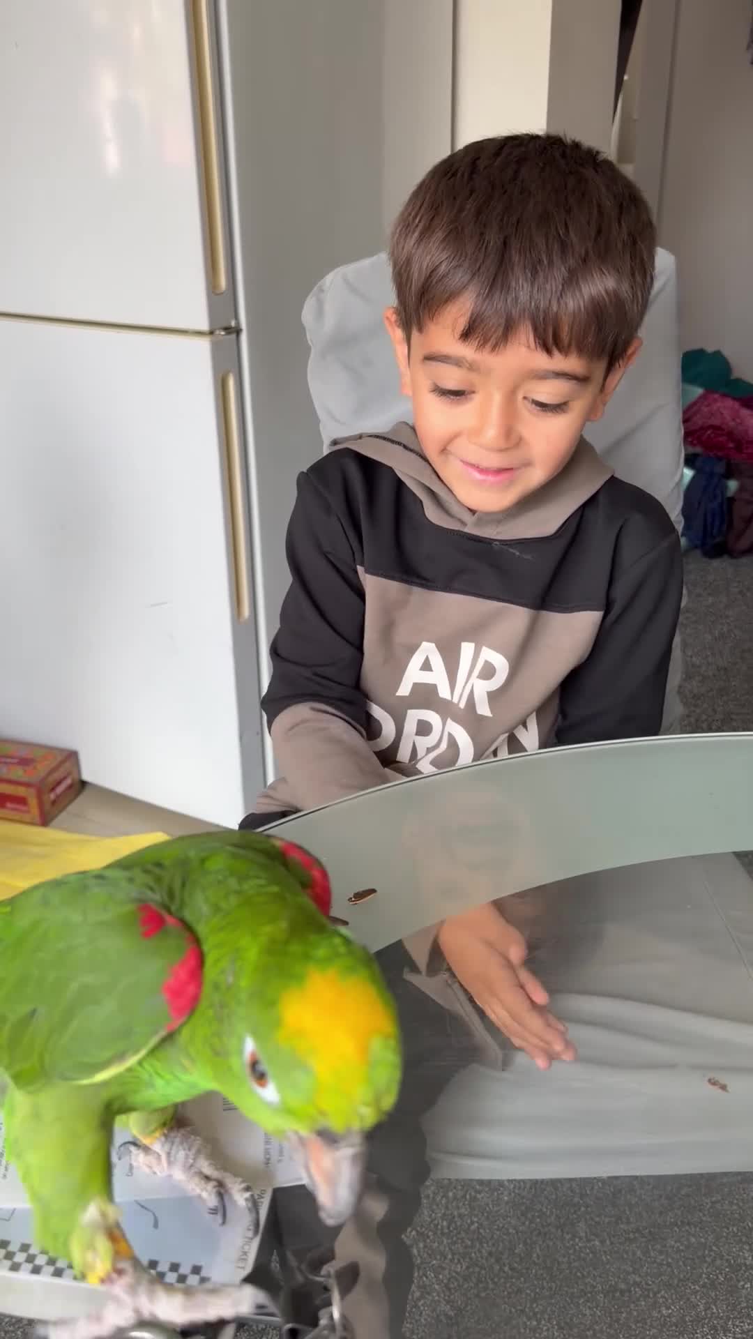 Parrots birds for sale: Mr adam in Greenford - Video 1