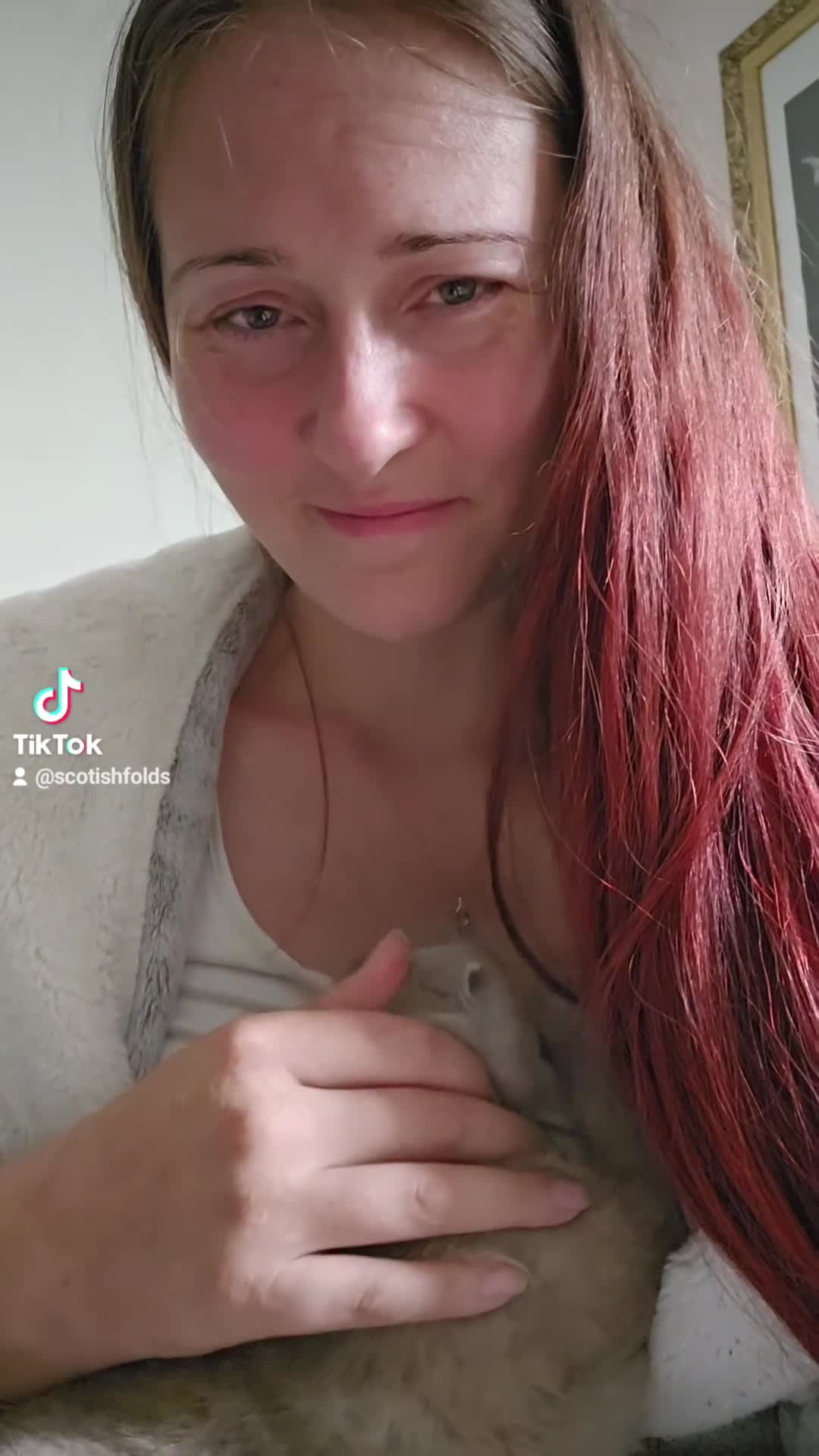 Scottish Fold cats for sale: Last scotish fold girl in Peterborough - Video 2