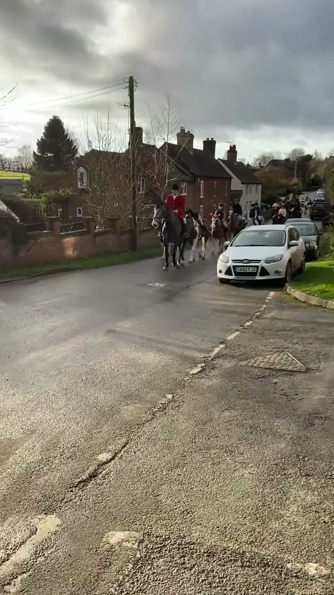 Welsh Section D horses for sale: Genie Welsh Section D 14.2 mare pony club in Burton-on-Trent - Video 2