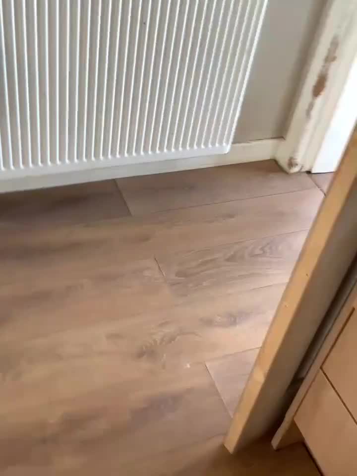 Cockapoo dogs for sale: Cockerpoo x for sale - Video 1