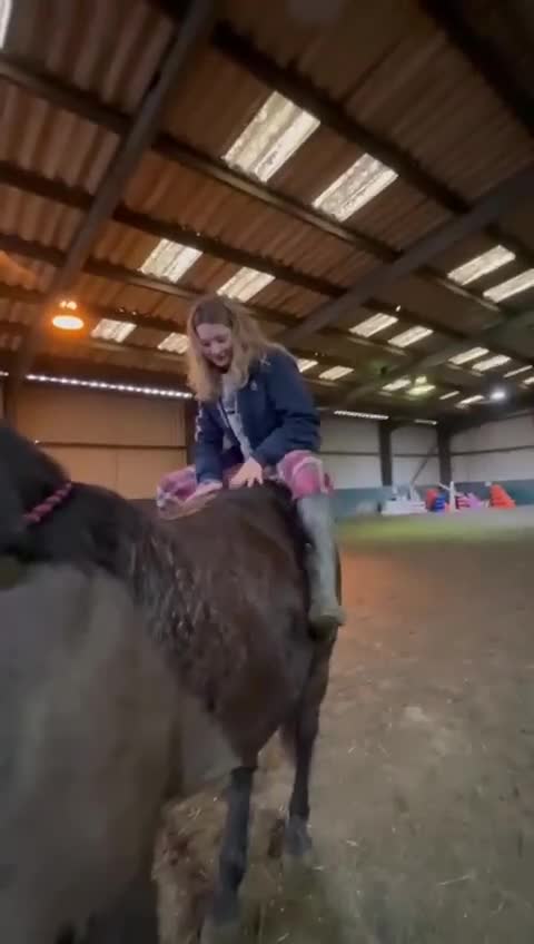 Connemara horses for sale: Confidence giver - Video 5