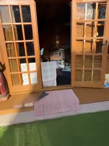 Shihpoo dogs for sale: Joanna Flynn  - Video 1