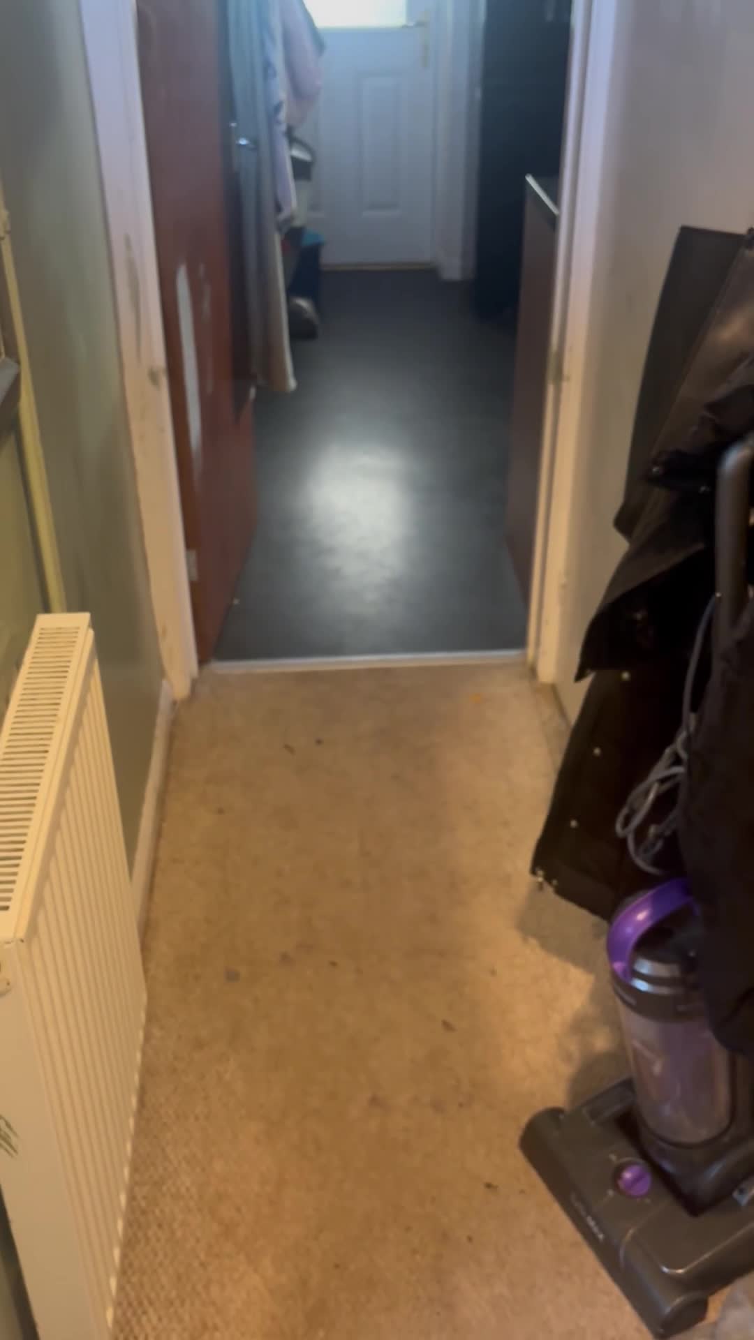 Mixed Breed dogs for sale: English boodles - Video 1