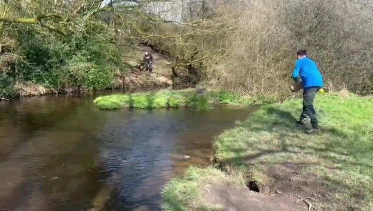 Belgian Shepherd Dog dogs for stud: kc registered Belgian malinois in Chorley - Video 4