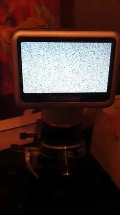 Staffordshire Bull Terrier dogs for stud: PROVEN STUD! KC STAFFORDSHIRE BULL TERRIER  in Bradford - Video 1