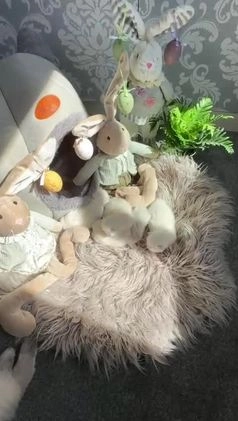 Ragdoll cats for sale: 🌸SALE.Purebred Ragdoll-GCCFstunning kittens🌸🌸🌸 in Wolverhampton - Video 4